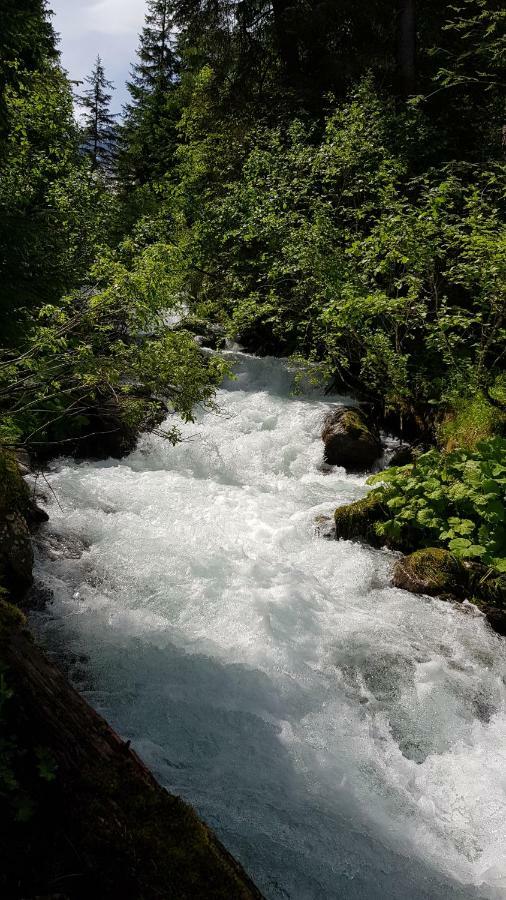 Eberl'S Zirbenlodge Гинцлинг Экстерьер фото